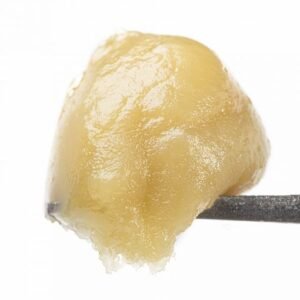 whole Melt Extracts PAPAYA For Sale